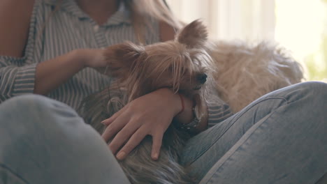 Junge-Frau,-Die-Zu-Hause-Ihren-Kleinen-Hund-Streichelt-1