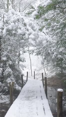 snowy winter forest bridge