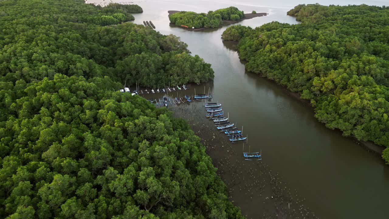 Beautiful aerial footage shows Bali mangrove forest stretching across calm lagoon waters where fish farming grids and small fishing boats blend with natural tropical surroundings