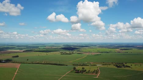 hermoso campo en un día de verano, alta vista aérea de establecimiento