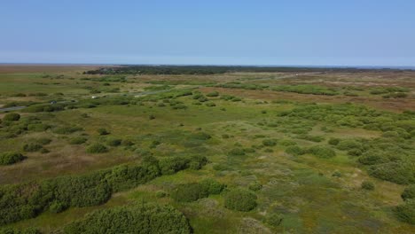 Aerial-Shot-Over-Grasslands-on-Romo-Island-in-Denmark