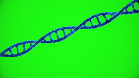 blue dna strand made of blue spheres animated on greenscreen