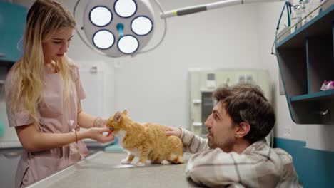 Confident-brunette-guy-in-a-checkered-shirt-communicates-with-a-blonde-veterinarian-girl-during-an-examination-of-his-ginger-cat-in-the-veterinarian-office