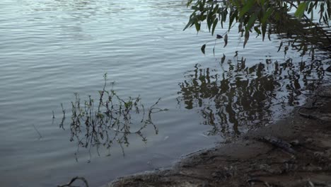 Río-Litoral-Reflexiones-Australiano-Camping-Interior