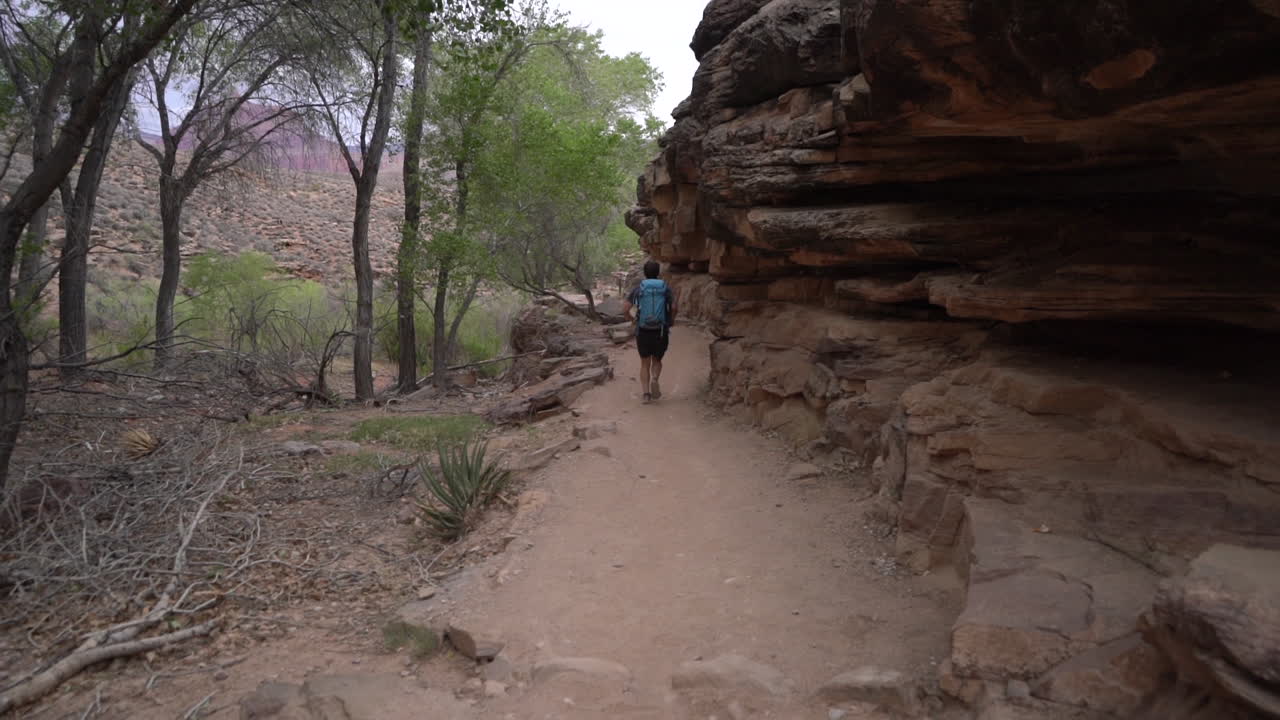 espalda de un joven corriendo por una ruta de senderismo en el parque nacional del gran cañón, arizona usa, cámara lenta de marco completo