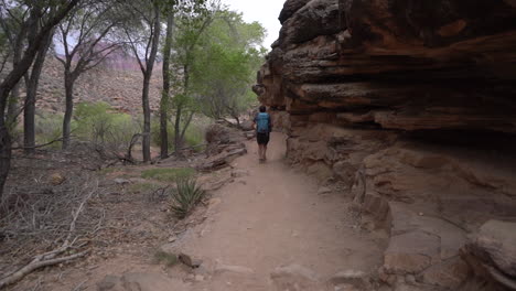 Espalda-De-Un-Joven-Corriendo-Por-Una-Ruta-De-Senderismo-En-El-Parque-Nacional-Del-Gran-Cañón,-Arizona-Usa,-Cámara-Lenta-De-Marco-Completo