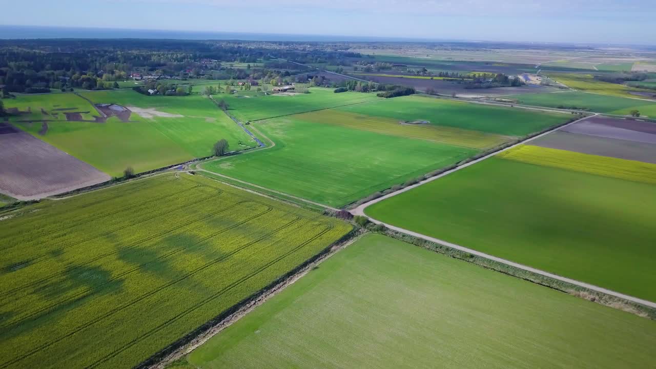 Aerial flyover blooming rapeseed field, flying over yellow canola flowers, idyllic farmer landscape, beautiful nature background, sunny spring day, drone shot moving forward high