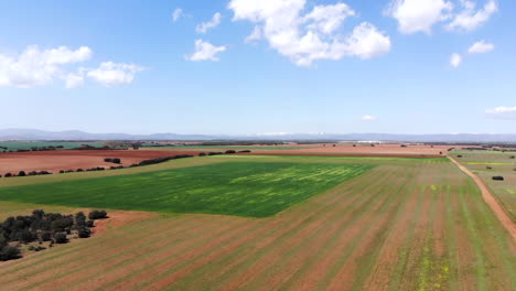 imágenes de drones de campos agrícolas verdes y marrones