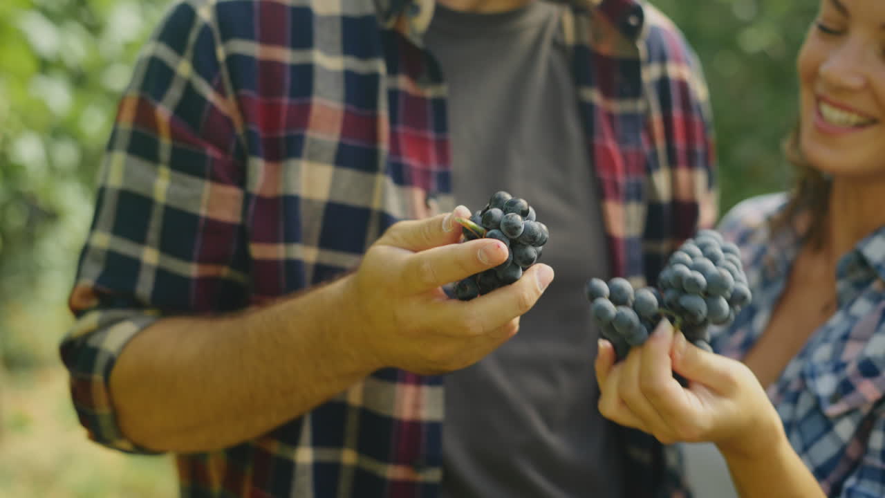 포도 에서 행복 한 부부