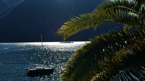 barco de pasajeros y velero en el lago lugano con montaña y palmera y luz del sol