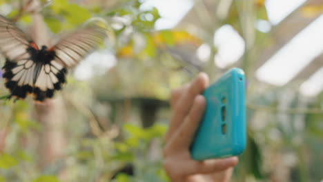 niña de la naturaleza tomando una foto de una mariposa usando un teléfono inteligente en un santuario de vida silvestre aprendiendo el hábitat natural disfrutando de una excursión al zoológico compartiendo la conciencia ambiental en las redes sociales 4k