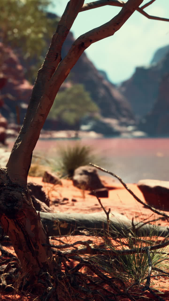 un árbol en un cañón del desierto