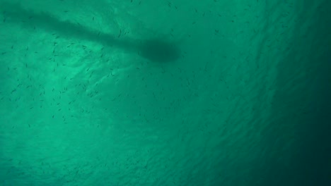 barco pasando por encima
