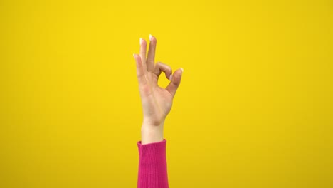 la mano femenina muestra el signo ok. fotografía de estudio en un fondo amarillo aislado.