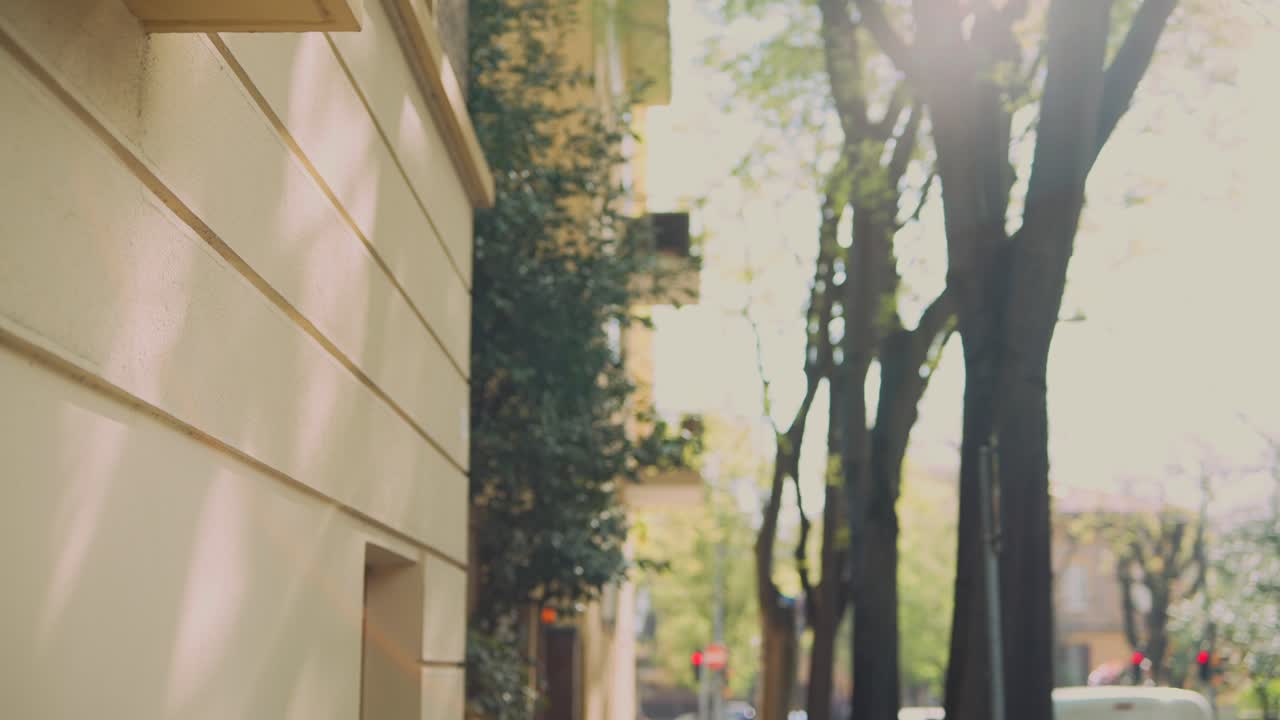 City Street Scene with Buildings and Trees
