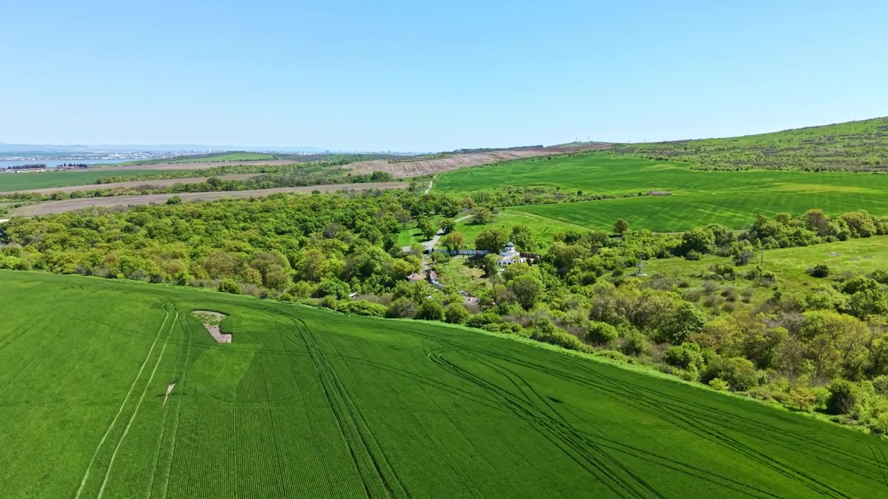 Wheat field stretches under clear blue sky with green rows indicating growth near farmland
