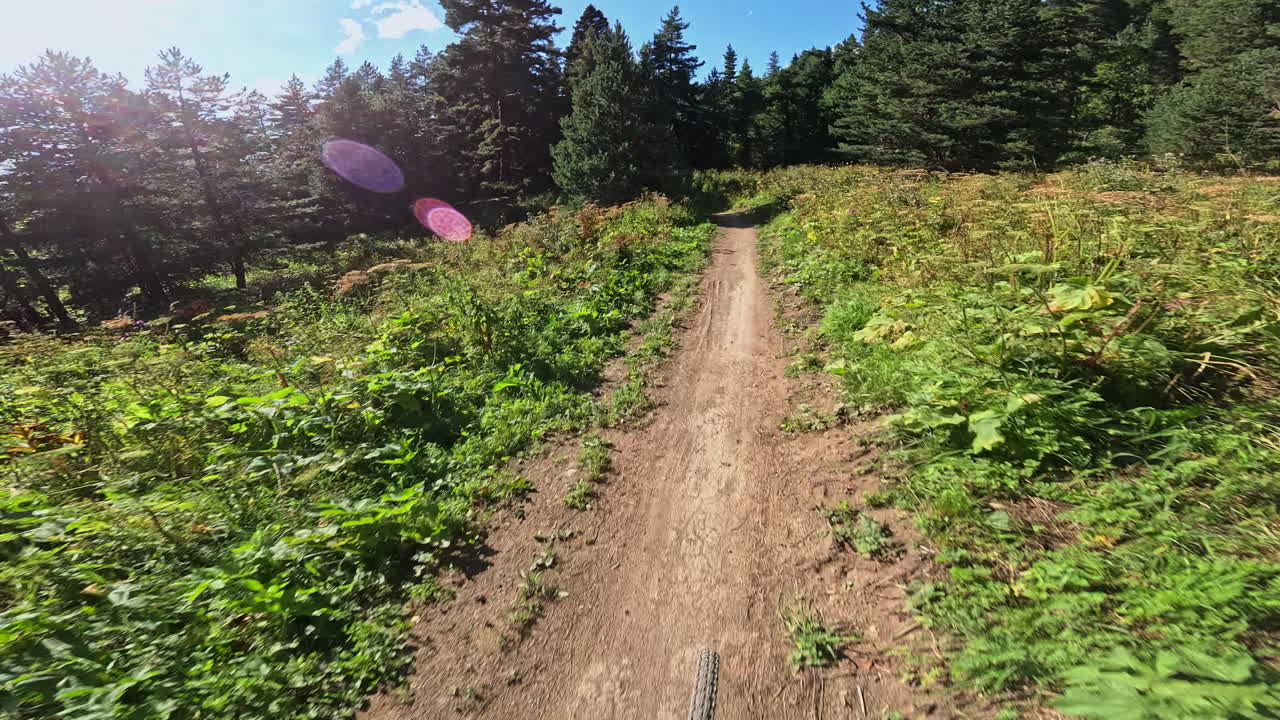 POV: Andare in bicicletta su sentiero sterrato nel bosco