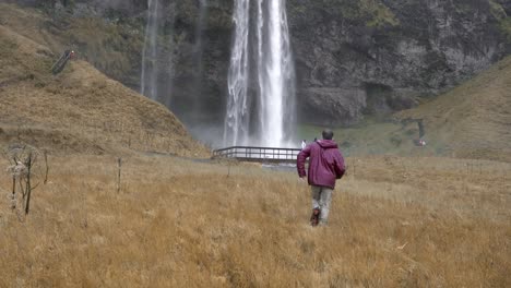 carefree traveling man running towards waterfall