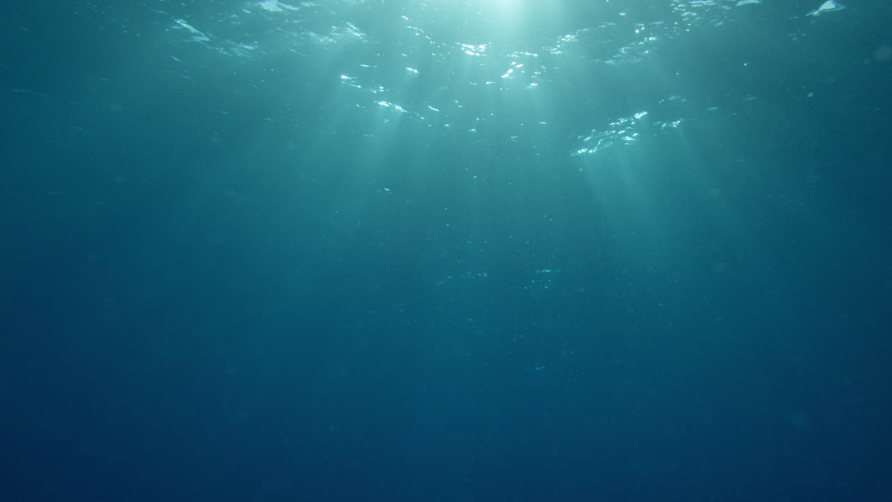 rayos de dios bajo el agua