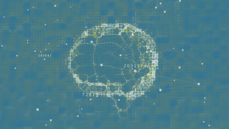 animation of network of connections over human brain