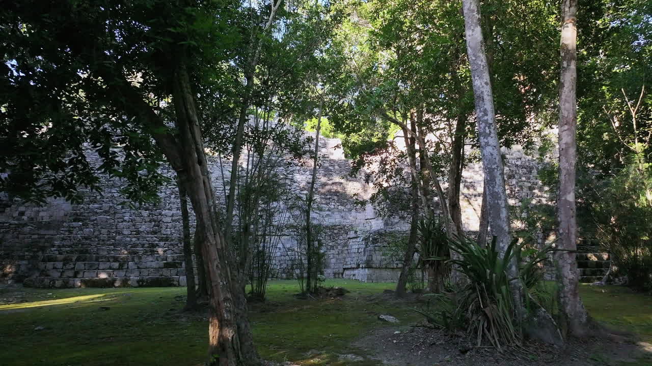 Aerial push in to forest surrounding the ancient Mayan site of Balamku in Campeche, Mexico, fly through trees to temple