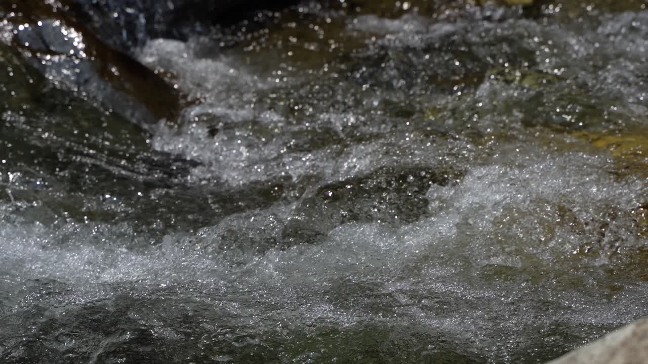 Water is flowing through a mountain torrential river.