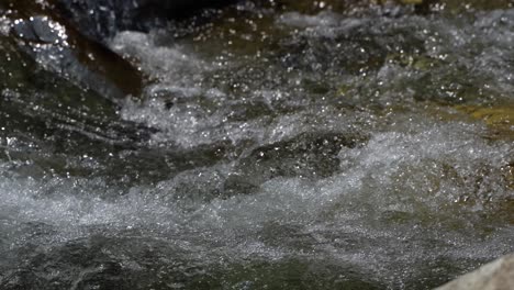 water is flowing through a mountain torrential river.