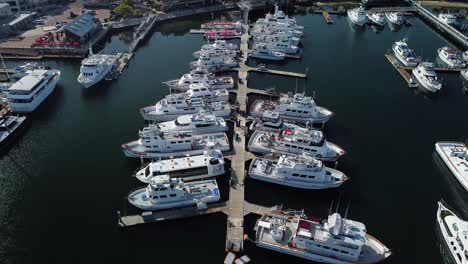 aerial view of America&#039;s Cup Harbor