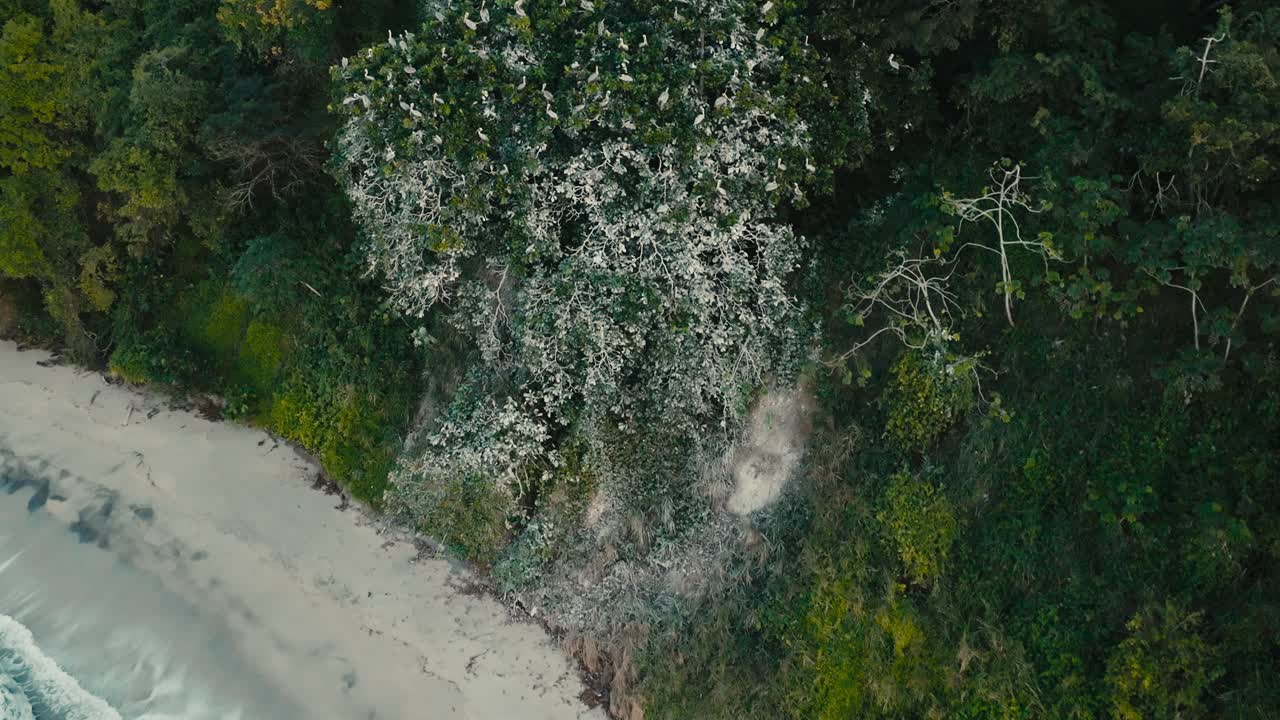 바다 파도의 공중 무인 비행기, 클로즈업, slowmo