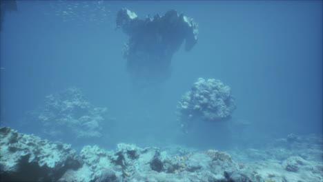 una impresionante vista de un arrecife de coral bajo el agua
