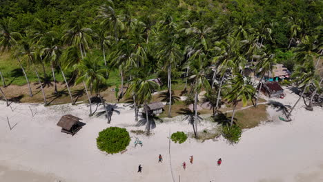 drone view of people playing volleyball on coron island, philippines, a tropical paradise featuring vibrant beaches and untouched greenery. revealing aerial shot with boat anchored.