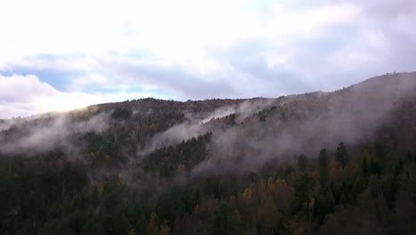 Wolken-Durch-Die-Bäume-Auf-Einem-Hügel