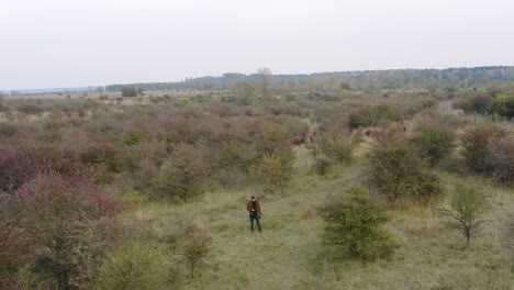 documentarist texting while photographing a bison herd,czechia