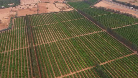 Mundo-Encantador-De-La-Vida-Campesina-A-Través-De-Impresionantes-Imágenes-De-Drones-De-Viaje,-Capturando-La-Belleza-Rústica-De-Los-Paisajes-Rurales,-Las-Culturas-Tradicionales