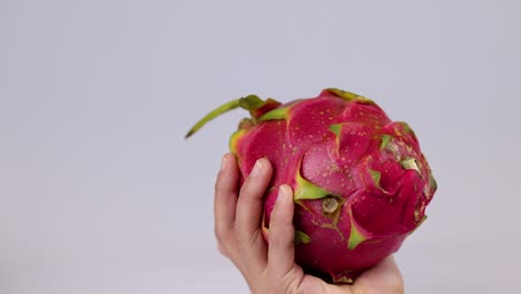 hands interact with a dragon fruit