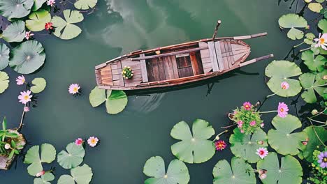 wooden boat in a lotus pond