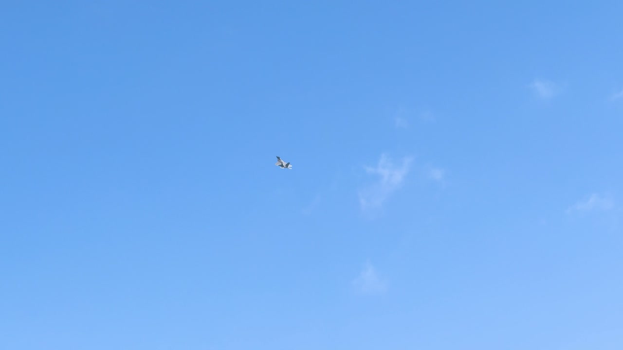 An F-22 Raptor performs aerial maneuvers against a clear blue sky at the Avalon Airshow in Geelong, Australia