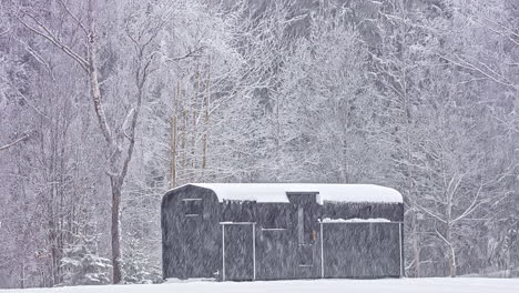 time lapse shot of flying snowflakes during snowfall in forest landscape with old wooden house in rural countryside