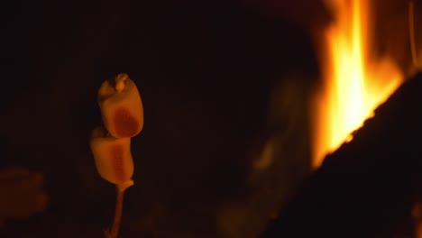 Roasting-marshmallows-in-an-open-campfire