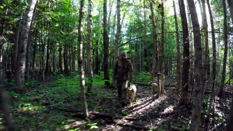 un chasseur avec un chien se promène dans la forêt 4k