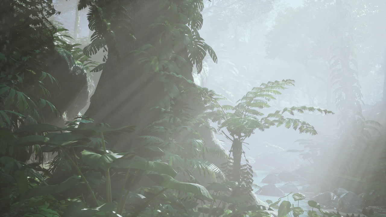 paisaje de bosque tropical nublado