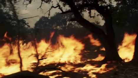 a dramatic depiction of wildfire engulfing trees and grassland, portraying the devastating power of nature and the impacts of fire on the environment