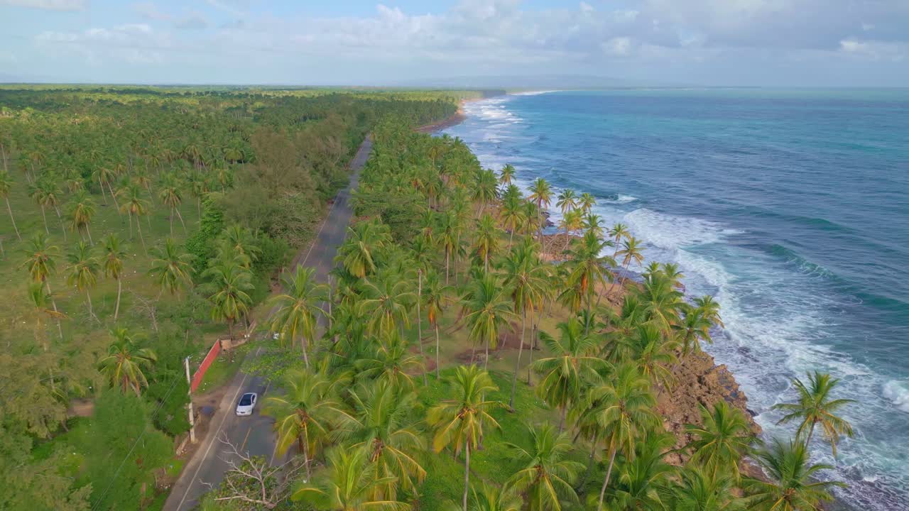 tiro aéreo para trás do tráfego na estrada entre palmeiras durante o dia nublado em