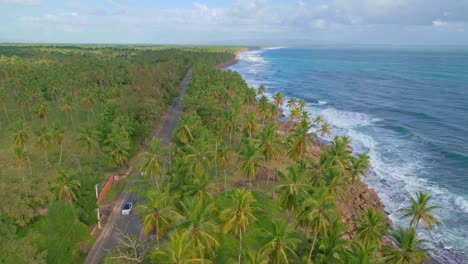 Aerial-backwards-shot-of-traffic-on-road-between-palm-trees-during-cloudy-day-in