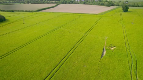 Green-agriculture-fields-on-sunny-day,-aerial-drone-view