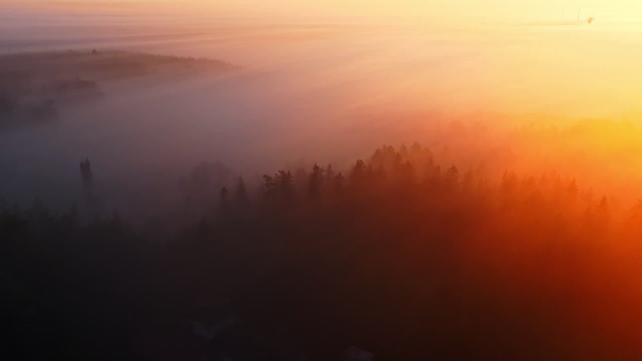 Aerial view overlooking forest and nature blanketed in thick mist and sun flares
