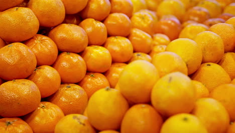 freshly picked oranges