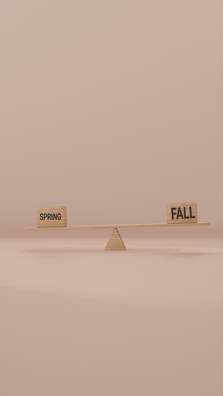 VERITCAL VIDEO OF SPRING AND FALL BALANCING ON SEESAW