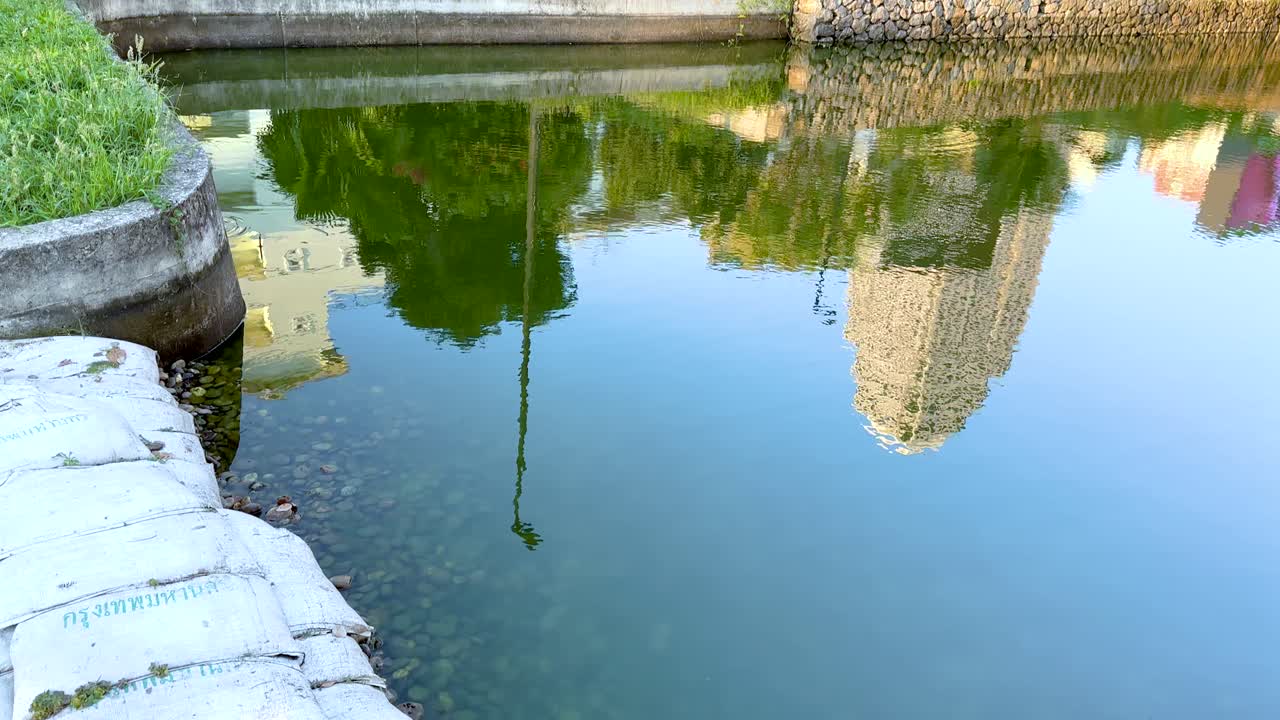 평화로운 연못은 활기찬 도시 공원 환경에서 도시 건물과 울창한 초록색을 반영합니다.