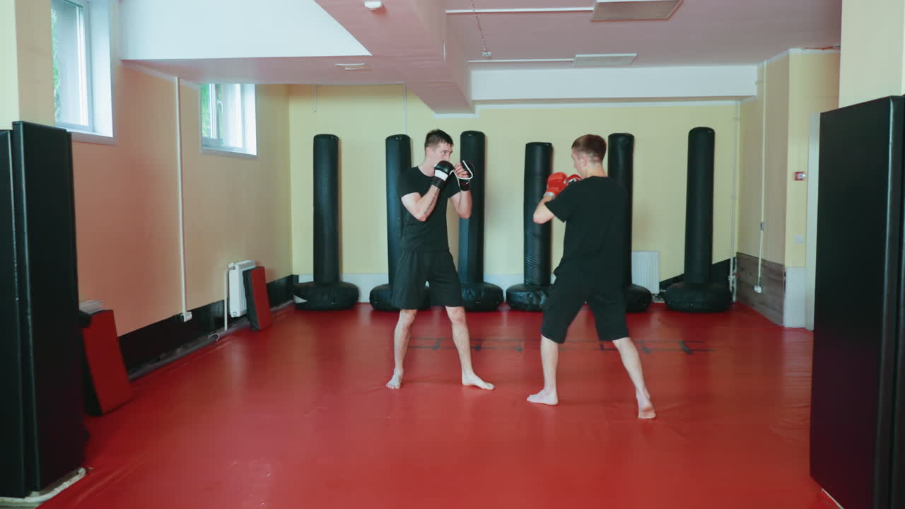 밝은 훈련장 분위기 속에서 한 선수가 발차기를 하고 상대 선수가 글러브를 낀 채 방어 자세를 취하는 가운데, 빨간색 매트 체육관 바닥에서 스파링 세션에 참여하는 선수들의 모습이에요. 주변에는 세워진 펀칭백이 있어요.